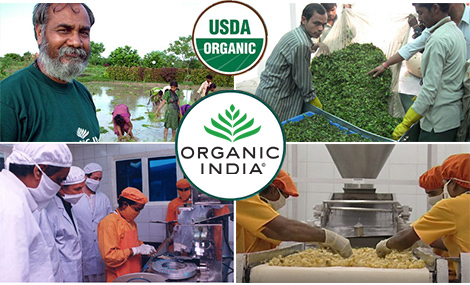 Organic India Factory