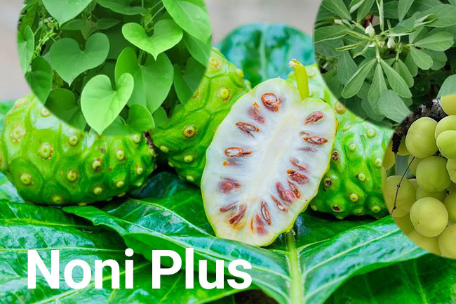 Noni Plus Herbals