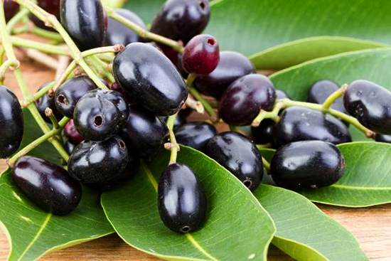 Jamun