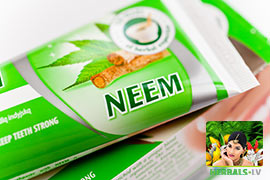 NEEM DABUR Toothpaste