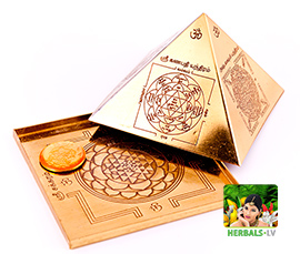 Vastu Pyramid Herbals