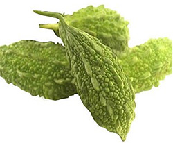 Карела (китайская горькая дыня) (Bitter Melon)
