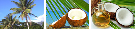 Cocos herbals